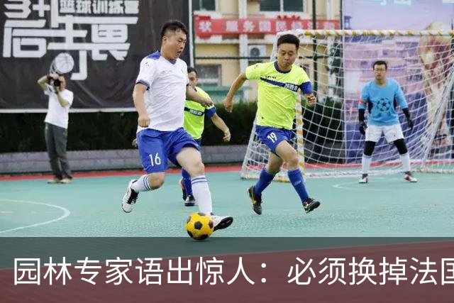 园林专家语出惊人：必须换掉法国梧桐，有很多中国好树被“雪藏”