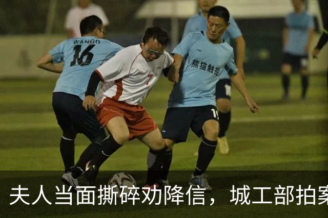 夫人当面撕碎劝降信，城工部拍案叫绝：这一撕，救了十万人