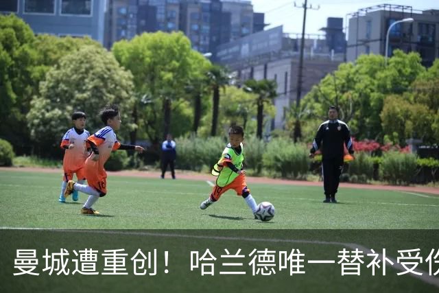 曼城遭重创！哈兰德唯一替补受伤 马雷斯卡亲承伤停8周
