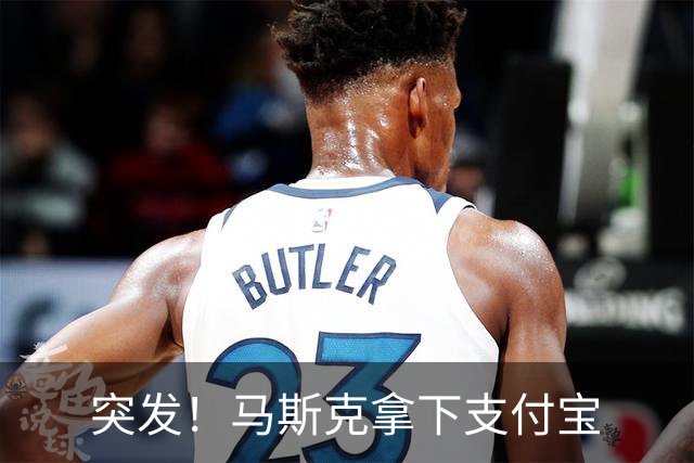突发！马斯克拿下支付宝